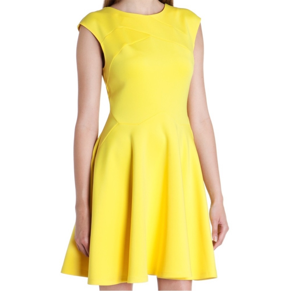Ted Baker London Sew In Love Yellow Arwyn Panelled Sleeveless Skater‎ Dress - Picture 3 of 13